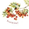 Sveikinimas 