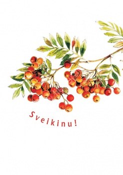 Sveikinimas "Sveikinu!"