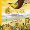 Saules_spalvu_poringes_geltona_I_dalis_1